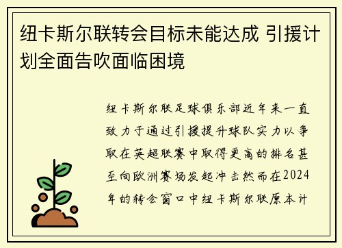 纽卡斯尔联转会目标未能达成 引援计划全面告吹面临困境