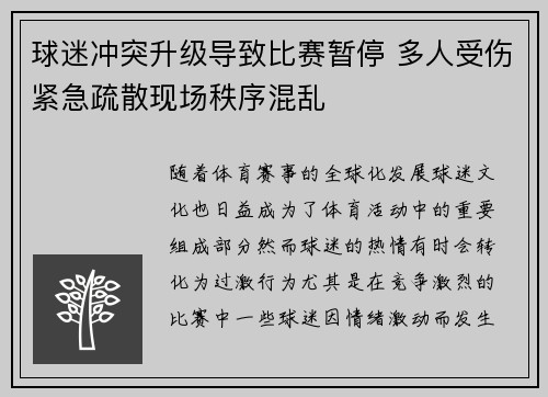 球迷冲突升级导致比赛暂停 多人受伤紧急疏散现场秩序混乱